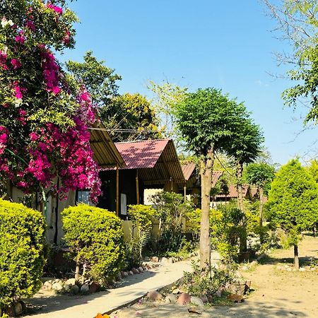 Camp High 5 Jayalgarh Hotel Dangchura Ngoại thất bức ảnh