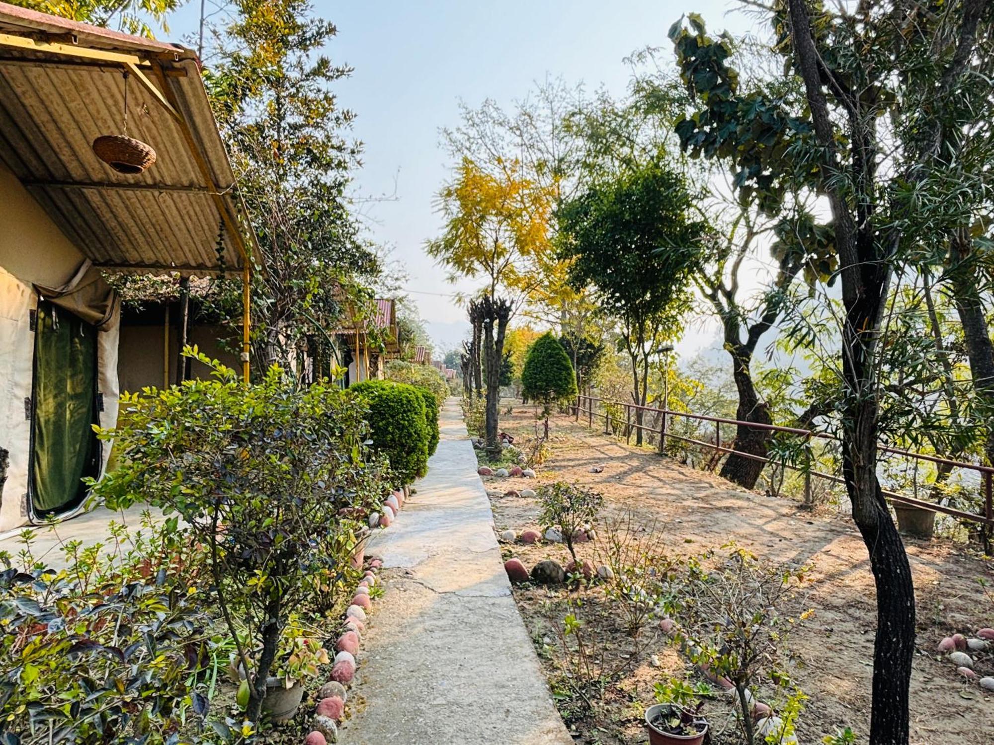 Camp High 5 Jayalgarh Hotel Dangchura Ngoại thất bức ảnh