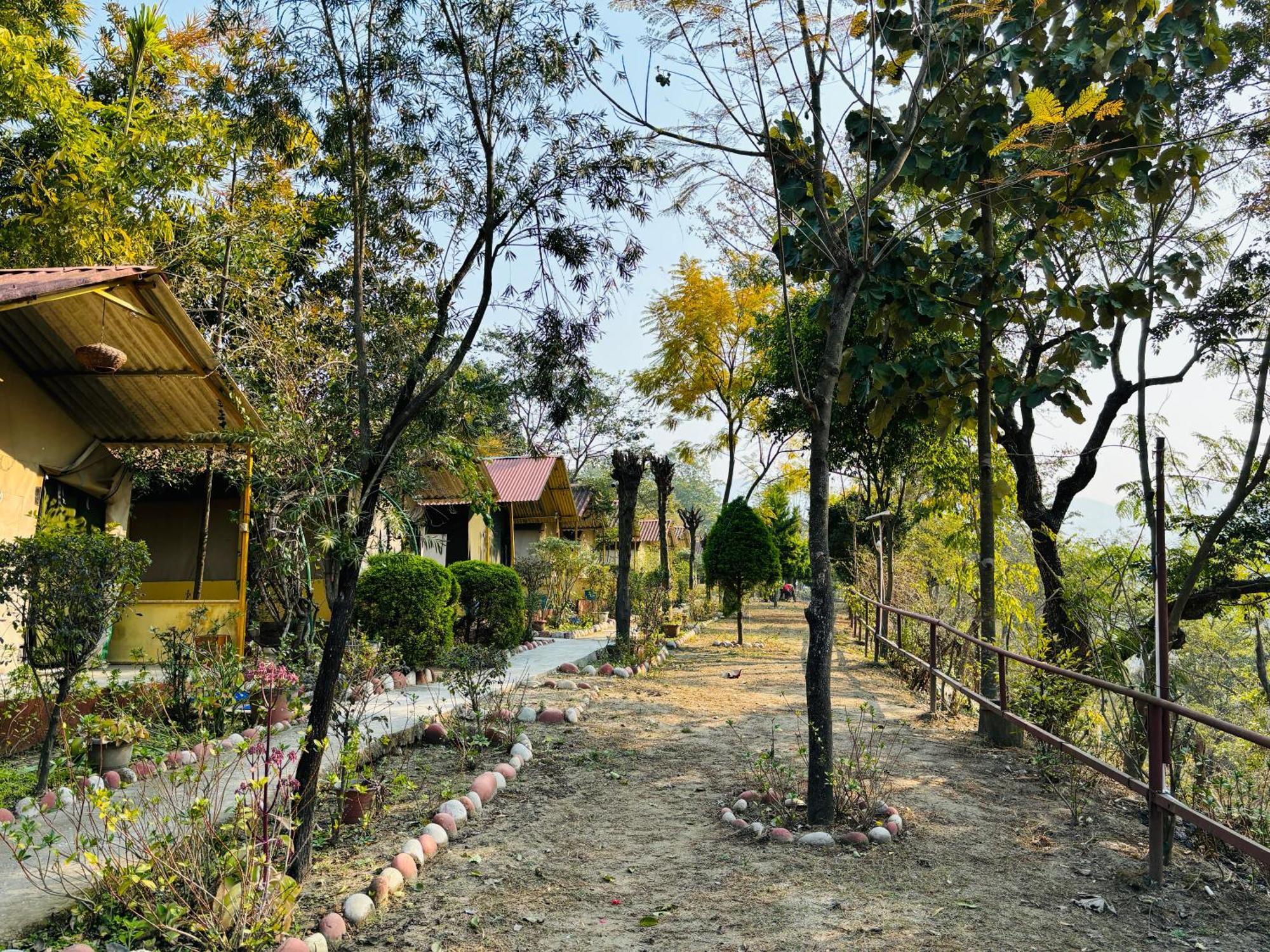Camp High 5 Jayalgarh Hotel Dangchura Ngoại thất bức ảnh